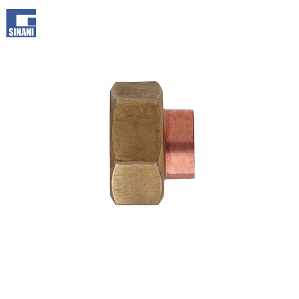 Rakord bakri me dado femër