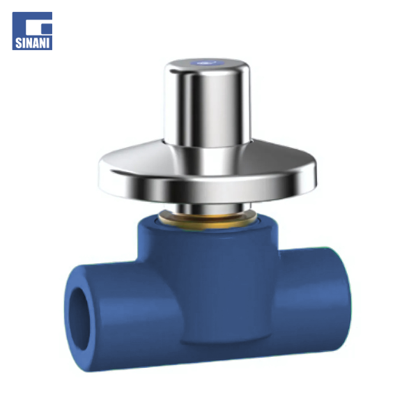 Saracineskë me gominë Fusio