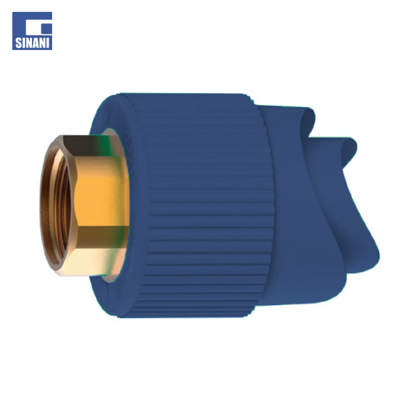 Ovale Fusio me filetim femër blu