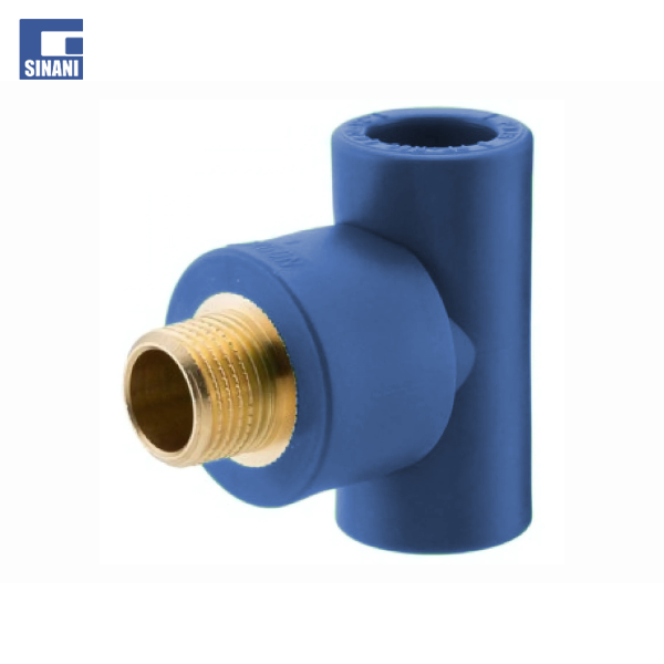 Ti me filetim mashkull Fusio blu