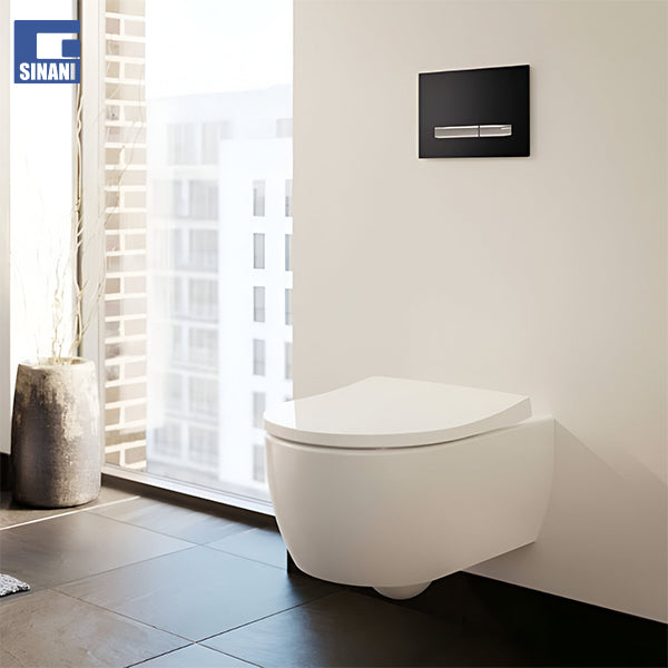 WC-Bide sospezo rimfree Icon