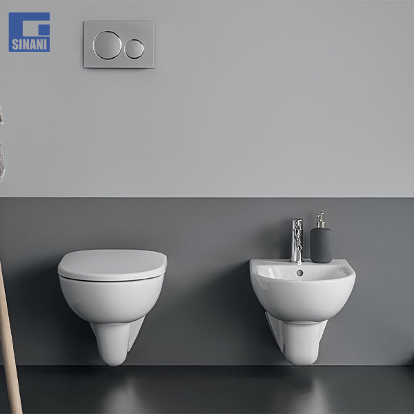 Set tualeti sospezo Selnova Premium rimfree