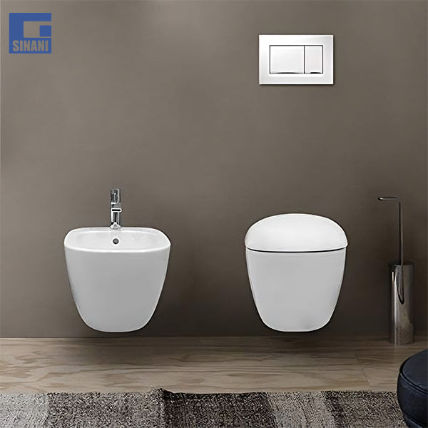 Set tualeti Citterio rimfree