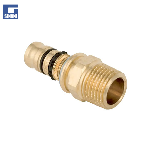 Rakord Mepla me filetim