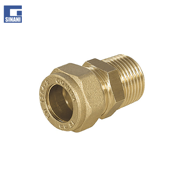 Rakord bronzi mashkull