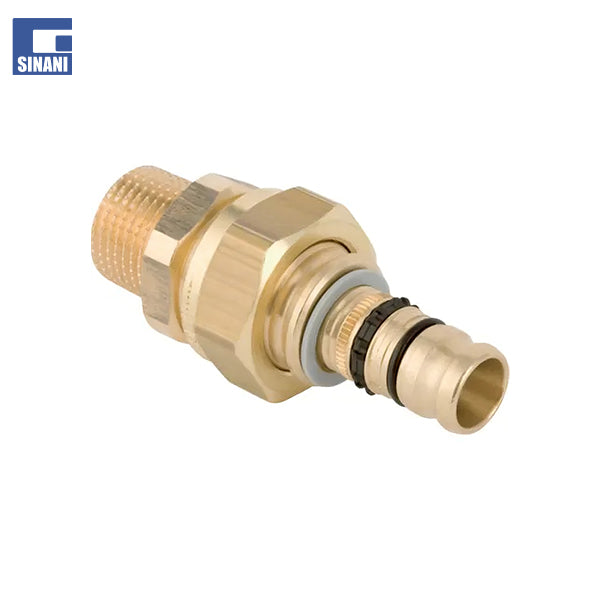 Rakord Mepla me filetim mashkull me hollandez