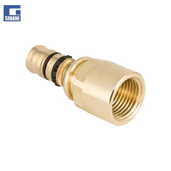 Rakord Mepla me filetim femer