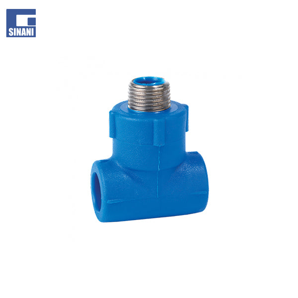 Ti me filetim mashkull