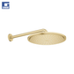 Kokë dushi + krah Rainshower Cosmopolitan 310