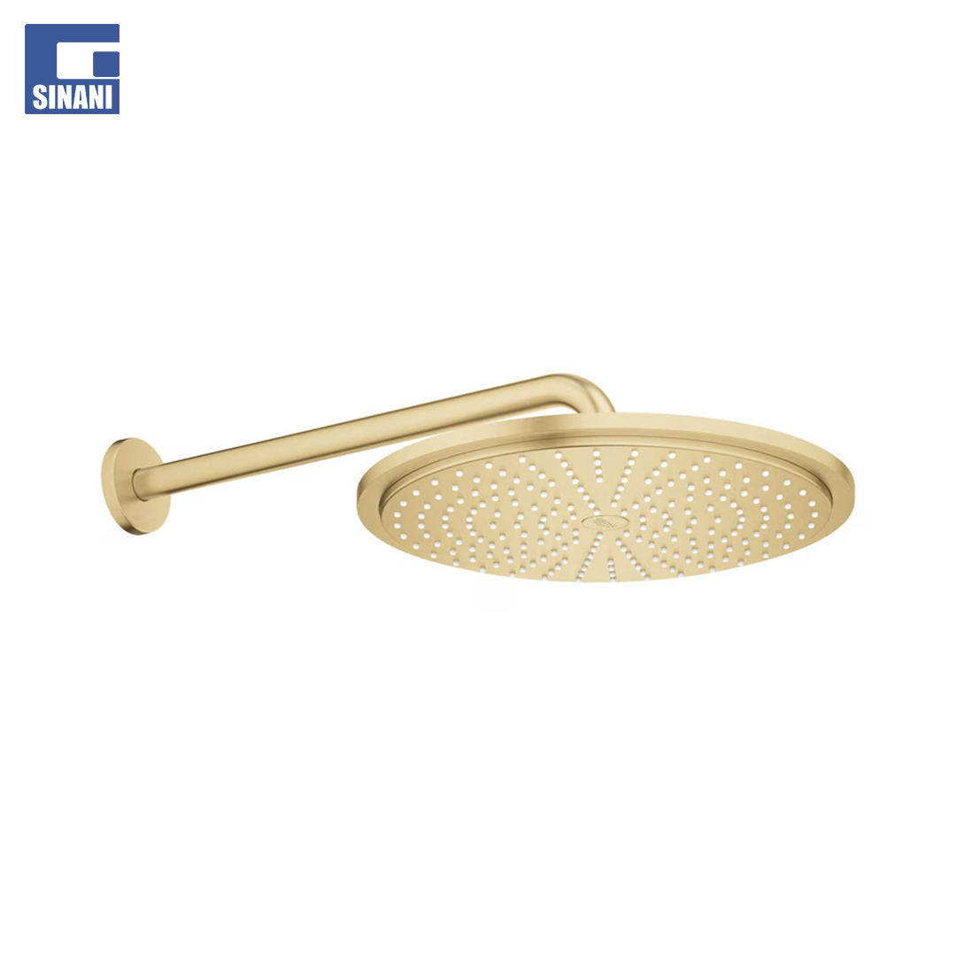 Kokë dushi + krah Rainshower Cosmopolitan 310