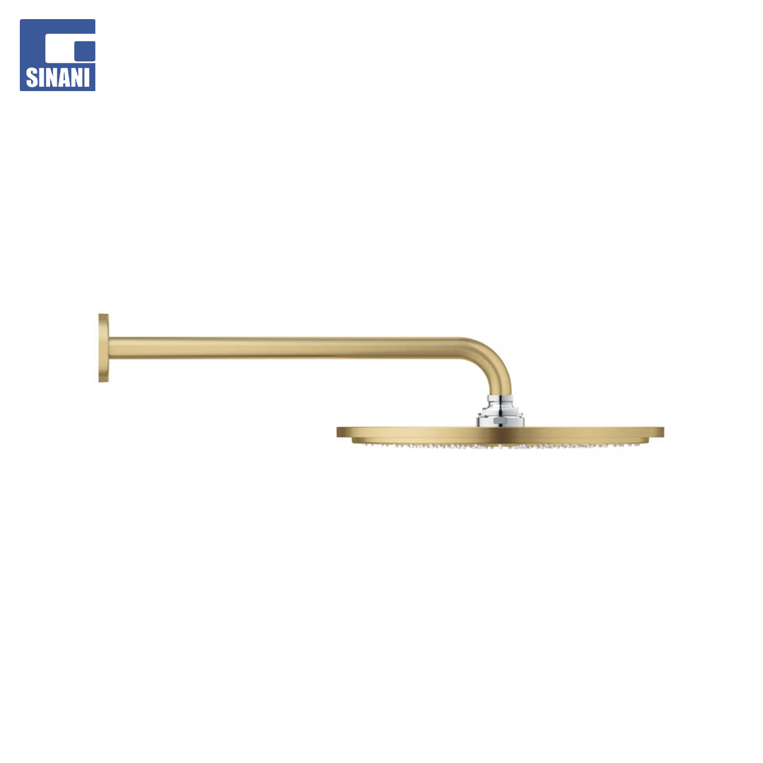 Kokë dushi + krah Rainshower Cosmopolitan 310