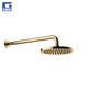 Kokë dushi 300mm + krah 450mm, Brushed Durabrass