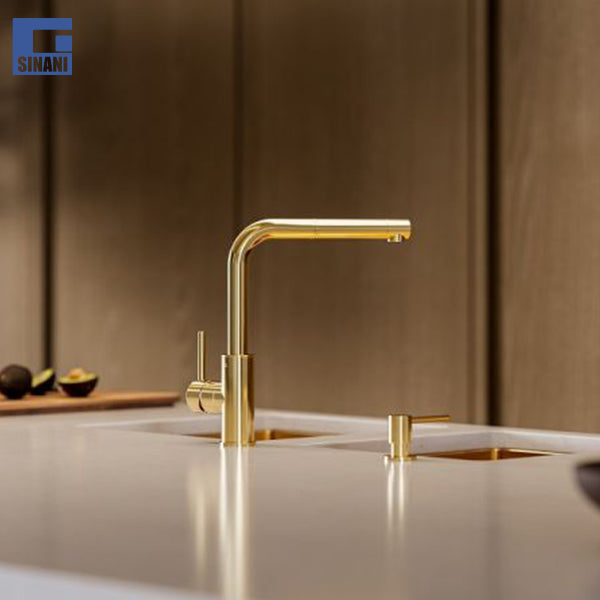 Grup lavapjate Zeos-P Monarch