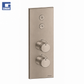 Grup dushi inkaso termostatik Stone Platin Satin vertikal me piastër me 2 dalje Lineabox