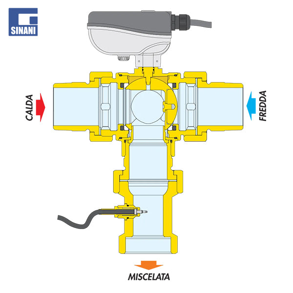 Valvol 3-rrugëshe dezinfektuese Legiomix me kokë motorike
